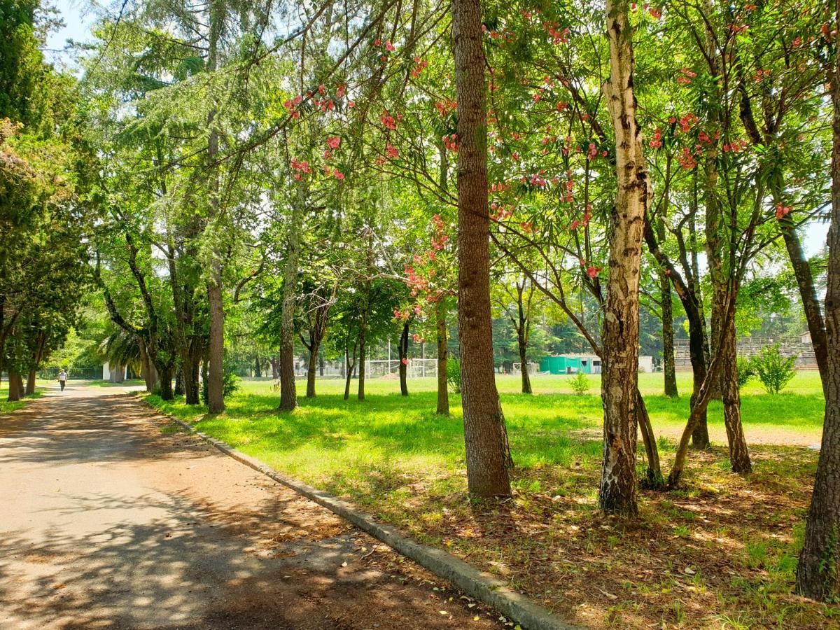 Парк-Отель Олимп Pizunda Ngoại thất bức ảnh